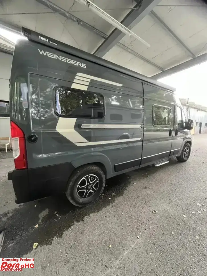 Fahrzeugbild Weinsberg CaraTour 600 MQ #6