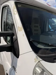 Fahrzeugbild Bürstner Nexxo T 660 #3