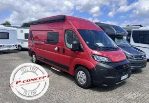 Bild Papillon<br/>PC 6.0