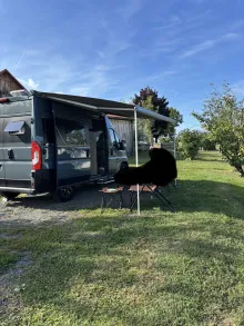 Fahrzeugbild Knaus BoxLife Pro 540 ROAD 60 Years Kein Mietfahrzeug #5