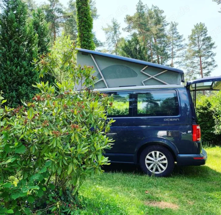 Fahrzeugbild VW California Ocean aus 1. Hand #9