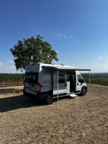 Fahrzeugbild Weinsberg CaraTour 600 DQ 5 Betten, grau, tiptop #1