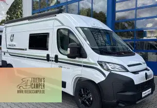 Bild Vans V594 Road Line