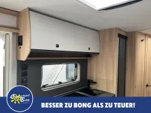 Fahrzeugbild Fendt Apero Activ 560 SKM Modell 2027 #5