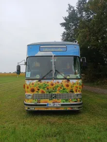 Fahrzeugbild Mercedes-Benz sonstige Von außen mit Sonnenblumen fo #2