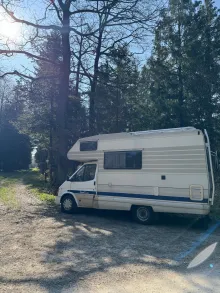 Fahrzeugbild Ford Transit #9