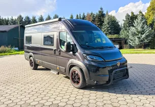 Bild Swan 636