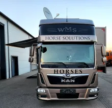 Fahrzeugbild MAN TGL WMS Pferdetransporter - Vermittlungsverkauf - #26